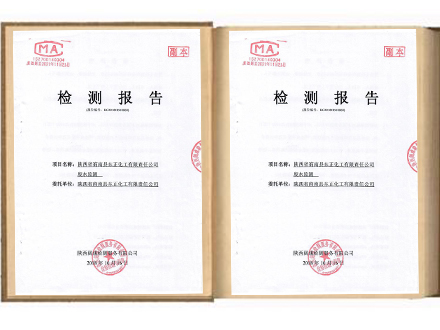商南县东正化工有限责任公司废水监测报告