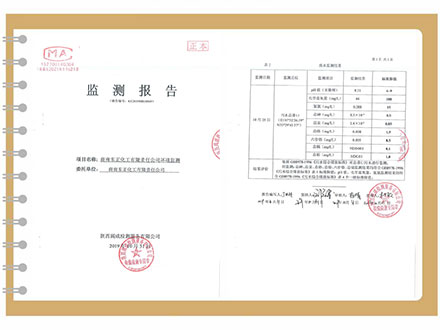 东正化工2019年10月环境监测报告