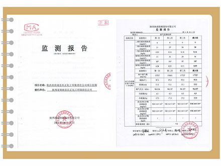 东正化工2021年4月项目监测报告