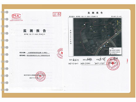 东正化工2023年第一季度污染物排放监测报告