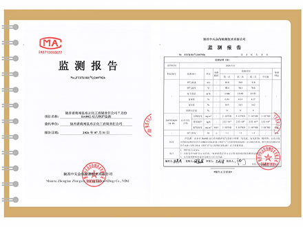 东正化工2026年7月份DA002动力锅炉监测报告