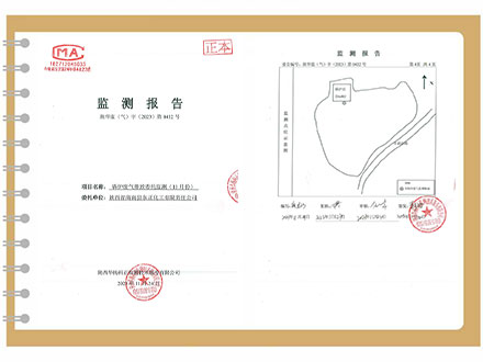 东正化工2023年11月份锅炉废气排放监测报告