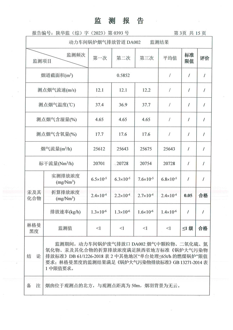 东正化工2024年1月份污染物排放监测报告(图4)